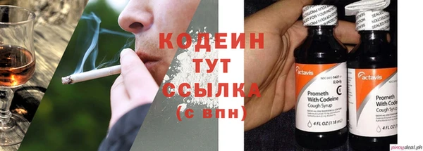 стаф Архангельск