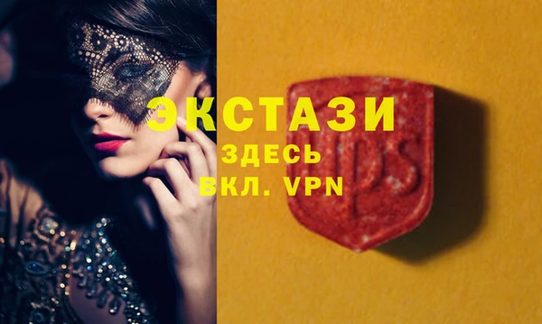 стаф Архангельск
