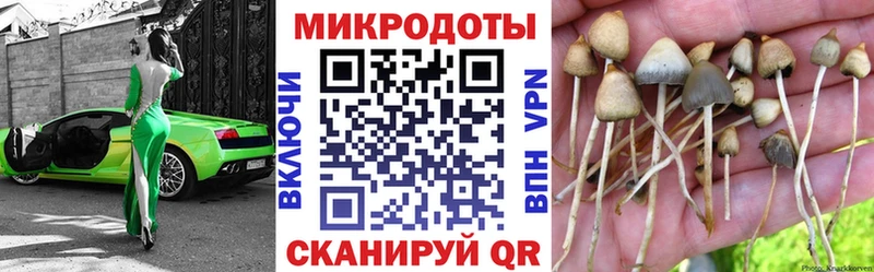 Псилоцибиновые грибы Cubensis  Раменское 