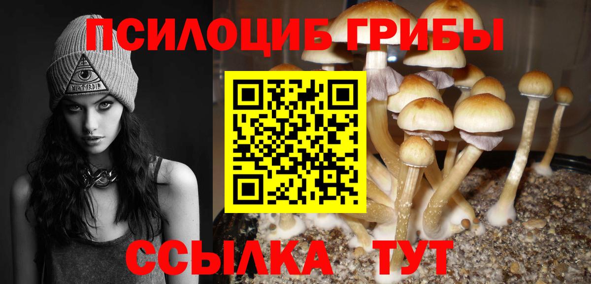 Раменское  Псилоцибиновые грибы мицелий  Вход с VPN  Галлюциногенные грибы Cubensis 