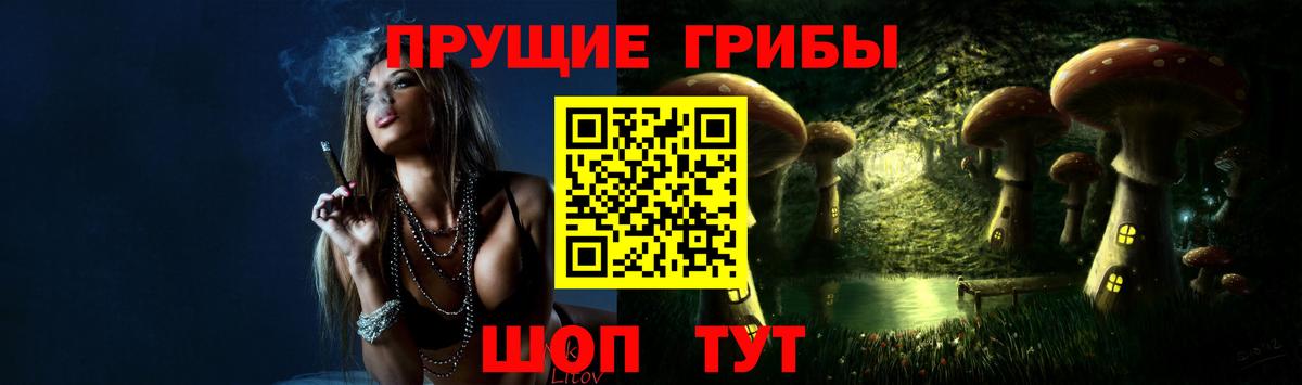 наркошоп  Раменское  Галлюциногенные грибы Cubensis 